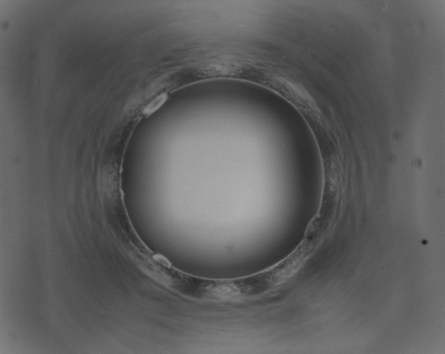 X0000074310409200608251241