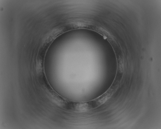 X0000074310410200608251241