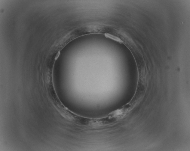 X0000074310413200608251240