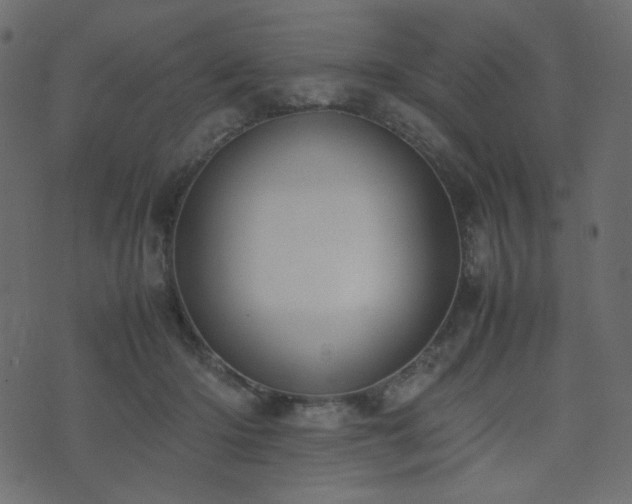 X0000074310414200608251240