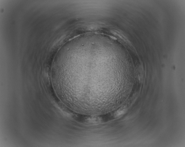 X0000074310415200608251240