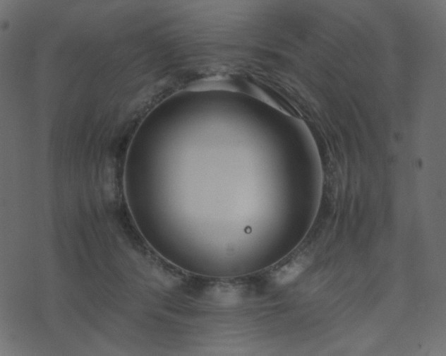 X0000074310416200608251240