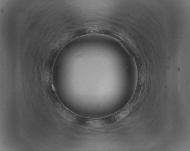 X0000074310417200608251240