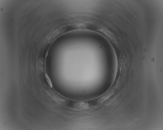 X0000074310421200608251240