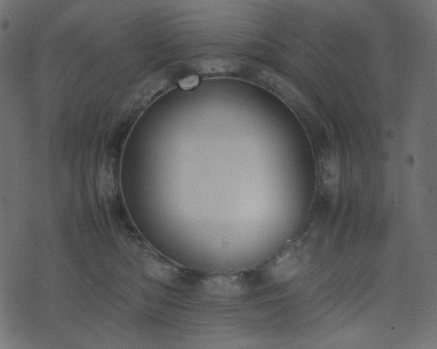 X0000074310422200608251240