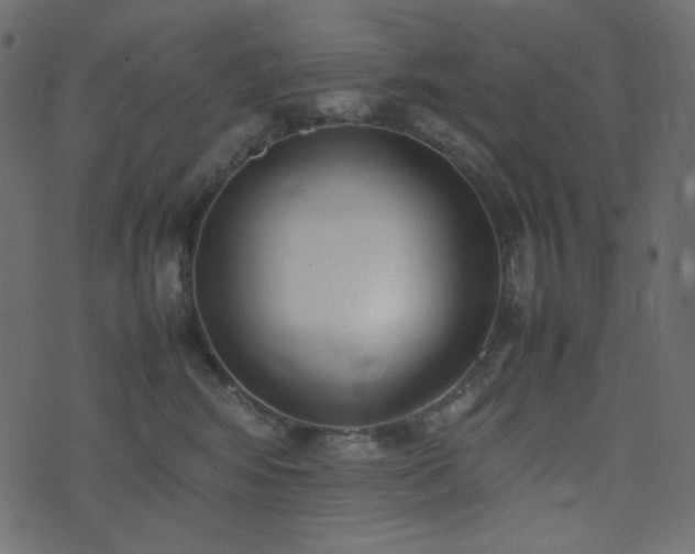 X0000074310424200608251240