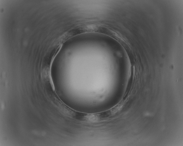 X0000074310425200608251240