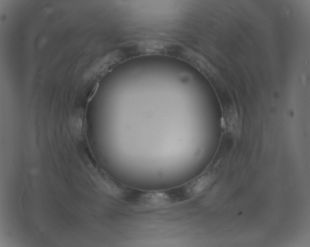 X0000074310427200608251240