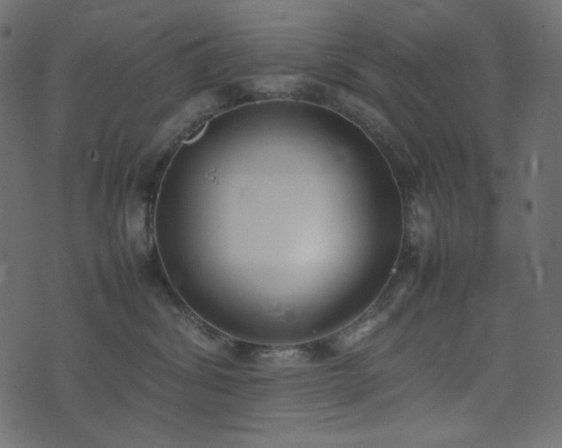 X0000074310428200608251240