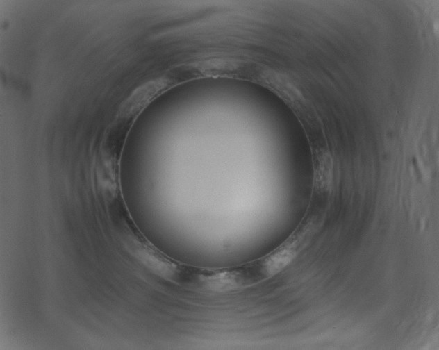 X0000074310430200608251240