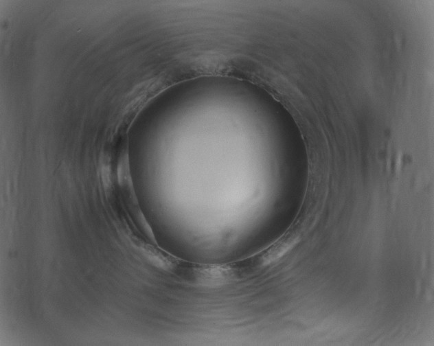 X0000074310432200608251240