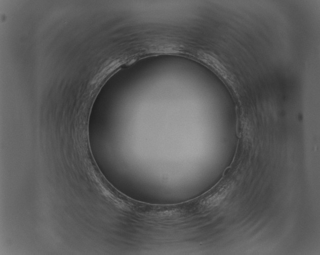 X0000074310433200608251239