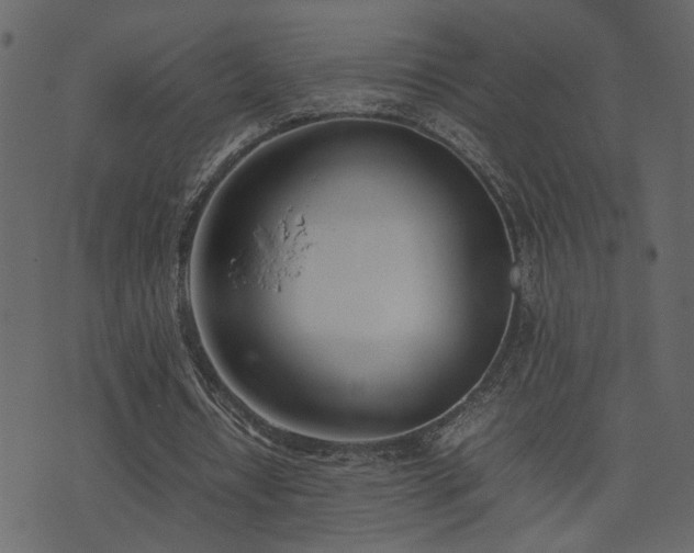 X0000074310434200608251239