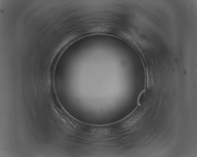 X0000074310435200608251239