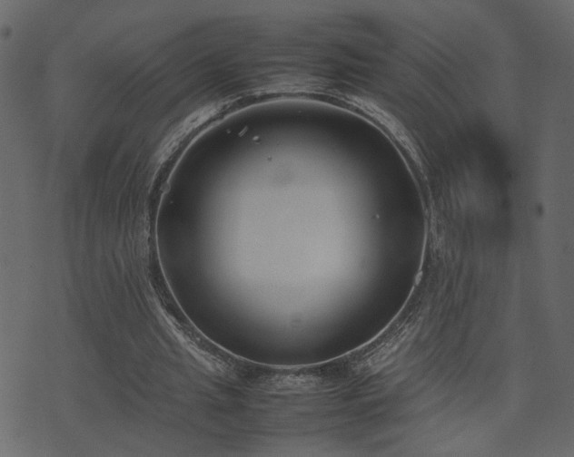 X0000074310437200608251239