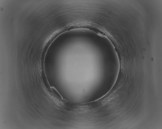 X0000074310438200608251239