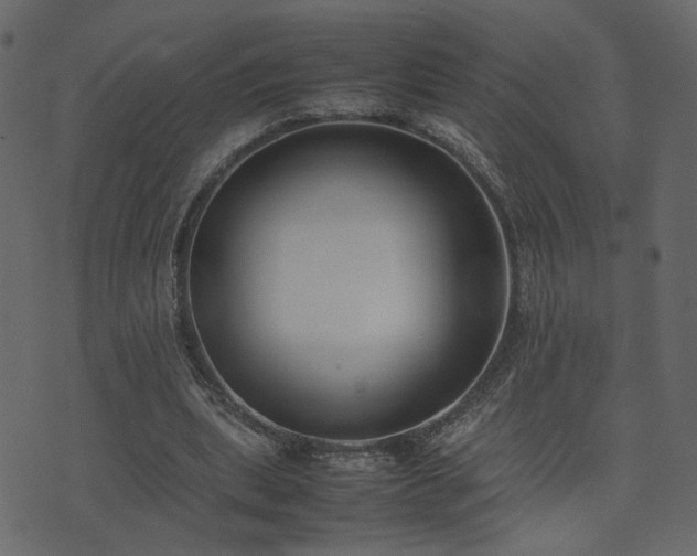 X0000074310439200608251239