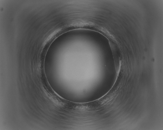 X0000074310440200608251239