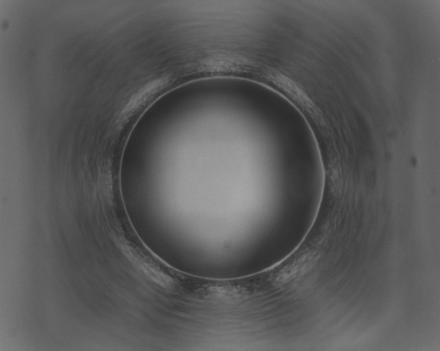 X0000074310442200608251240