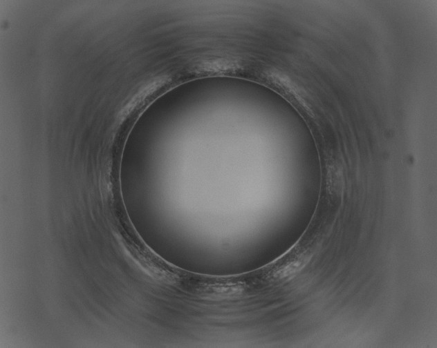 X0000074310443200608251240