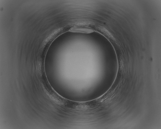 X0000074310444200608251240