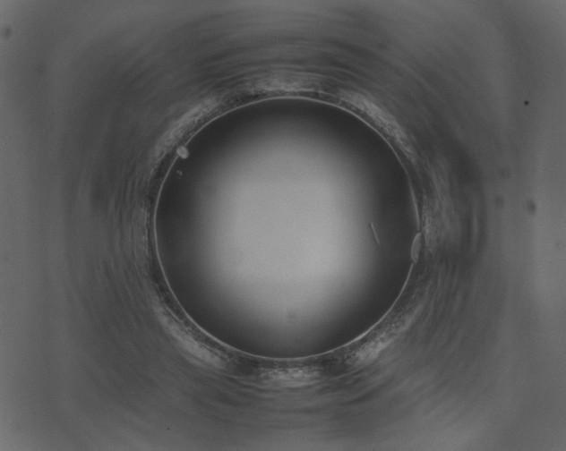 X0000074310445200608251240