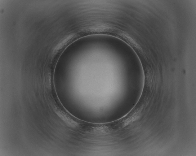 X0000074310446200608251240