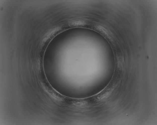 X0000074310447200608251240