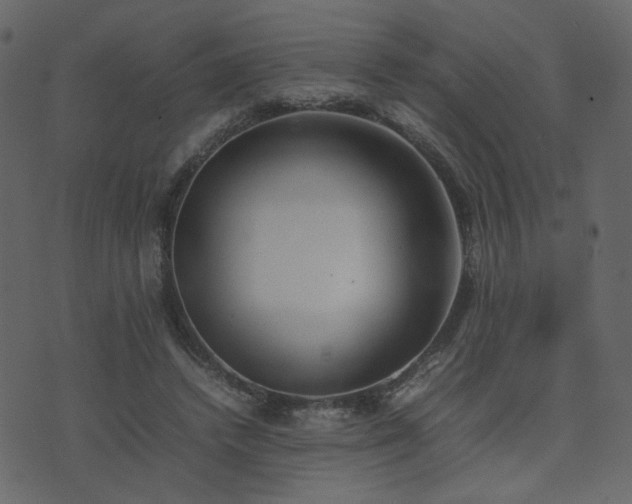 X0000074310448200608251240