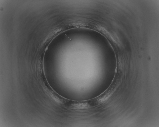 X0000074310449200608251240