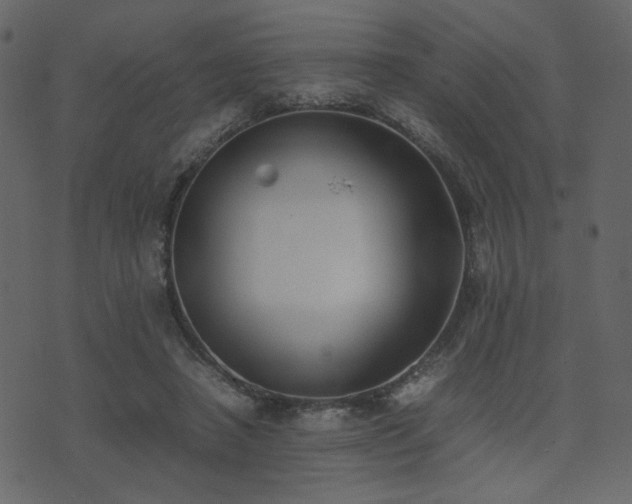 X0000074310450200608251240