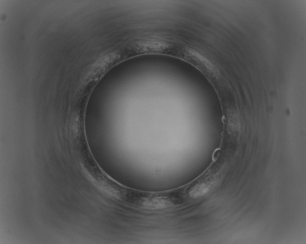 X0000074310451200608251240