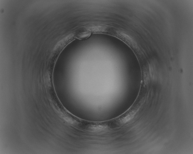 X0000074310453200608251240