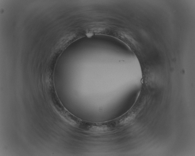 X0000074310455200608251240