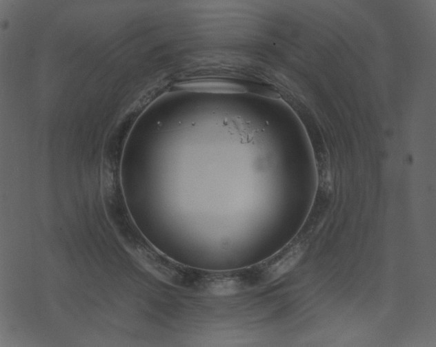 X0000074310456200608251240