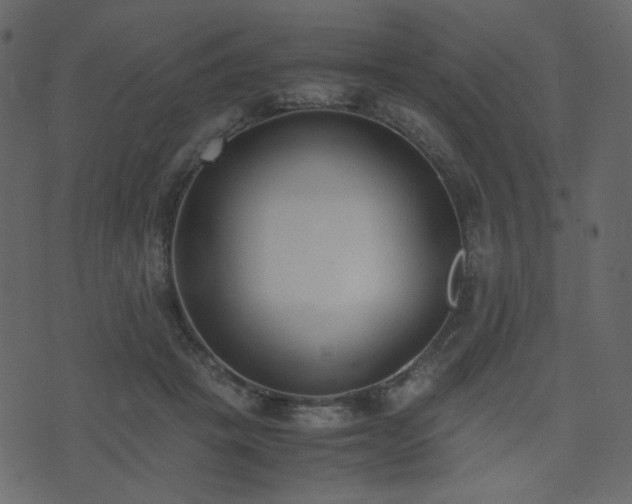 X0000074310457200608251240