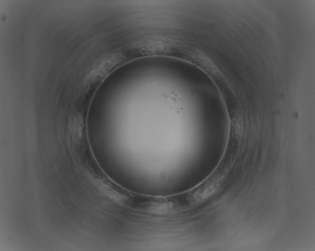 X0000074310458200608251240