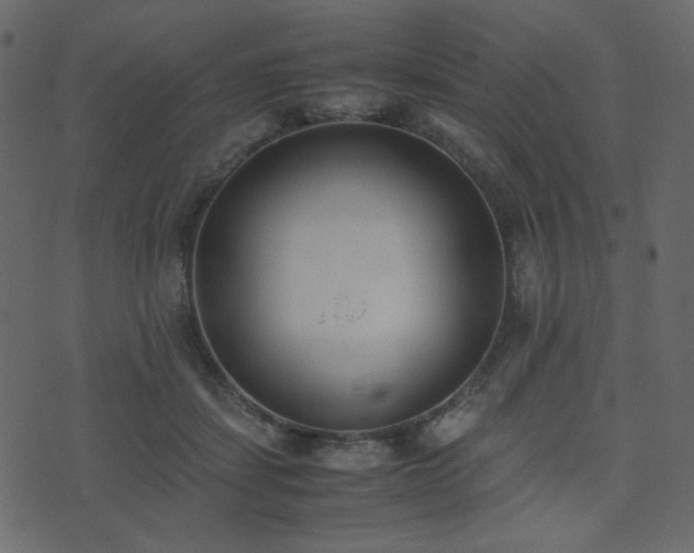 X0000074310459200608251240