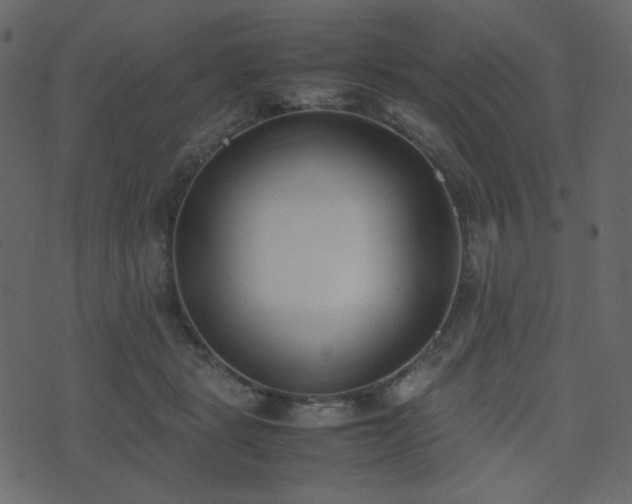 X0000074310461200608251240