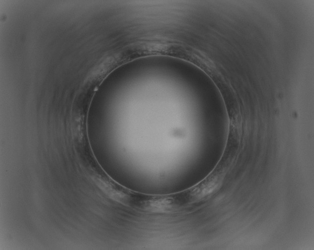 X0000074310462200608251240