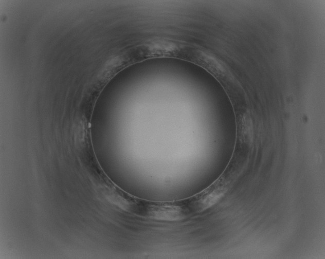 X0000074310463200608251240