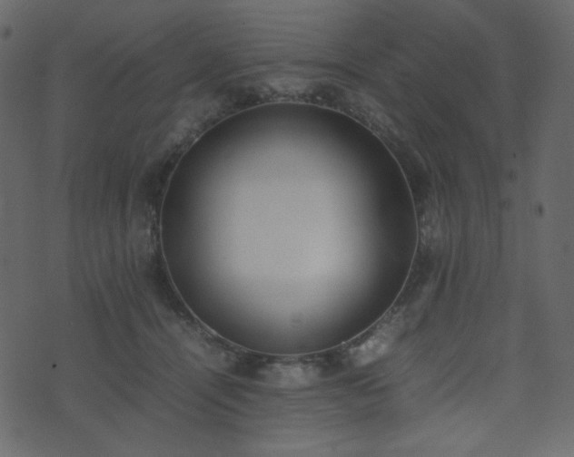 X0000074310464200608251240