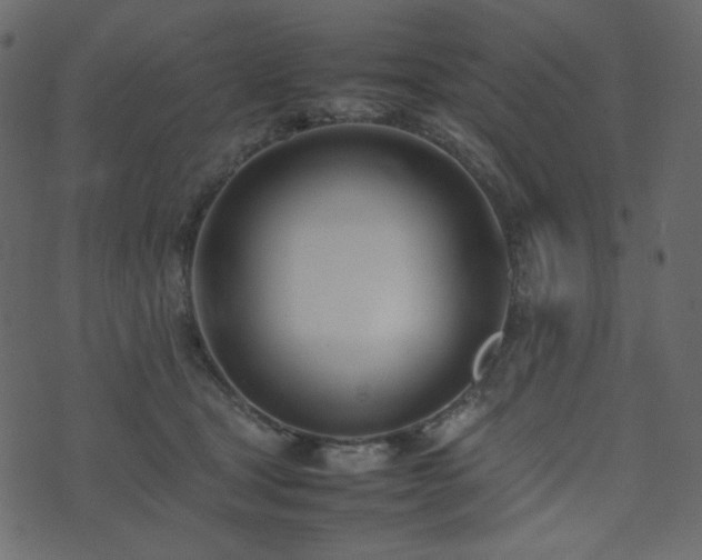 X0000074310465200608251240