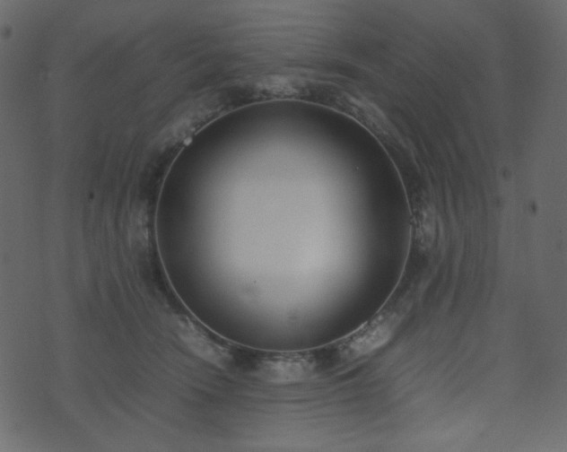 X0000074310466200608251240