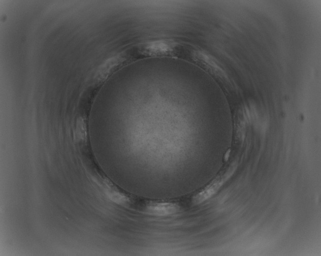 X0000074310467200608251240