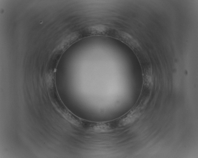 X0000074310468200608251240