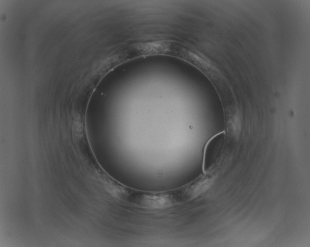 X0000074310469200608251240