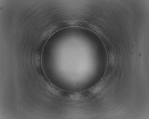 X0000074310470200608251240