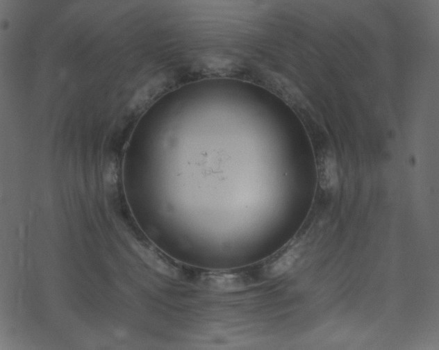 X0000074310472200608251240