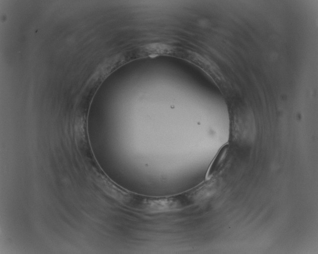 X0000074310473200608251240